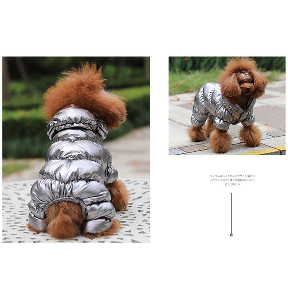 Gold Silver for Small Medium Dog Thicken Designer Winter French Bulldog Clothes Jacket Waterproof York Chihuahua Pug XJ251225
