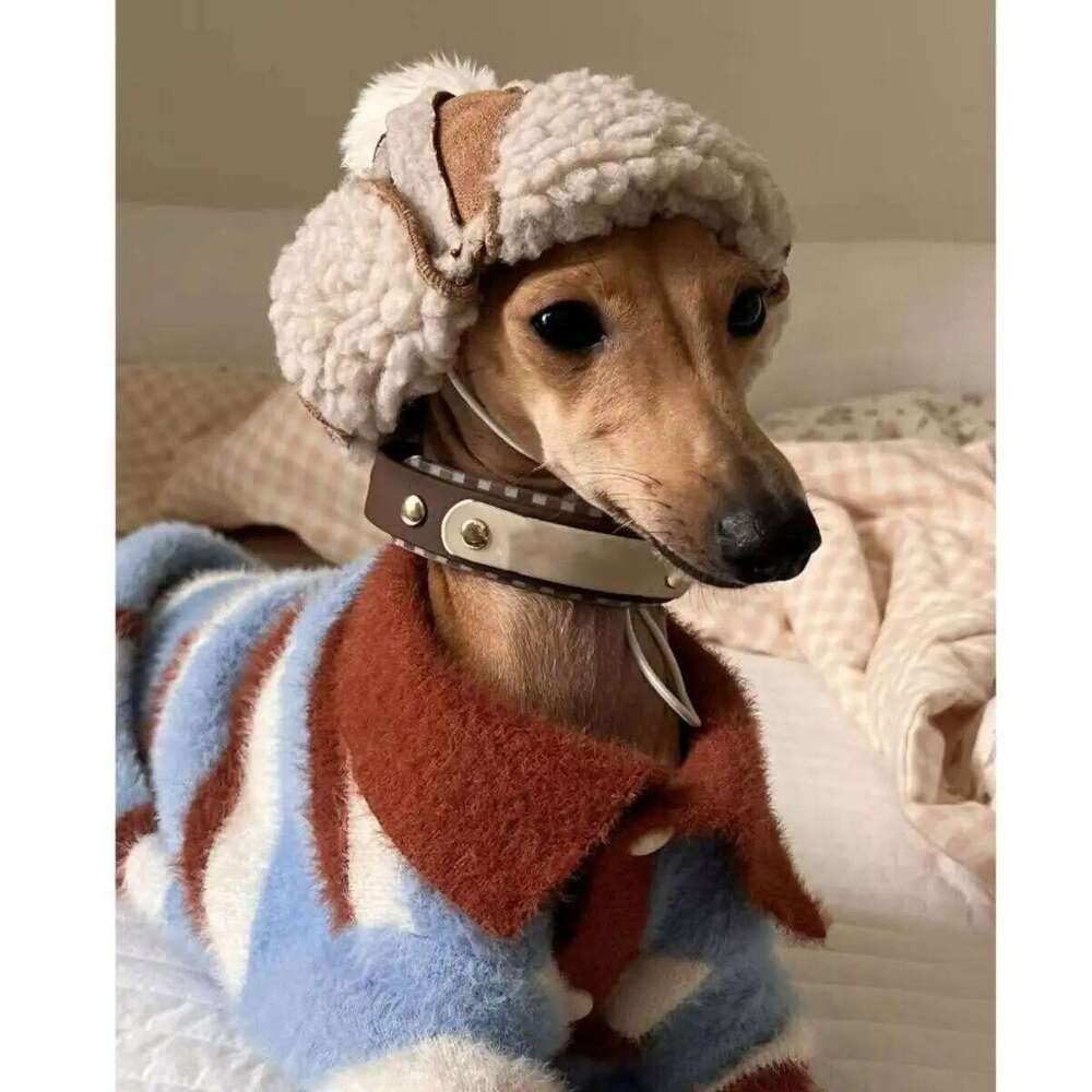 Dog Color Blocked Striped Sweater Dogs Winter For Small Medium Puppy Bichon Teddy Pet Warm Clothes XJ251225