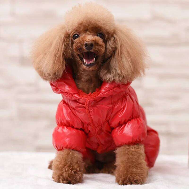 Winter Down Jacket Jumpsuit Dogs Warm Small Medium Dog Clothes for French Bulldog Overall Puppy Cat Clothing ubranka dla psa XJ251225
