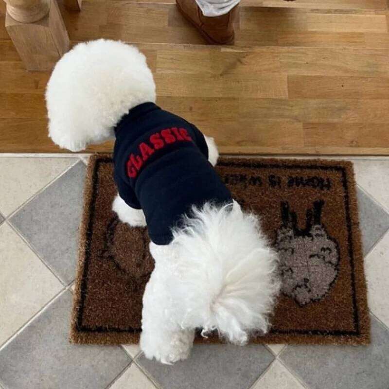 Luxury Letter Print Pullovers Winter Warm Puppy Cute Cat Hoodies Pet Sweatshirt Bichon Frise Dog Clothes XJ251225