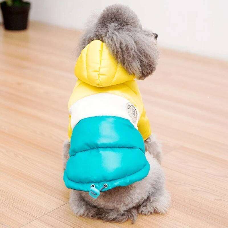 Winter Padded Down Warm Soft Dog Fashion Puppy Jacket Cute Solid Cat Coat Pet Outfits French Bulldog Clothes XJ251225