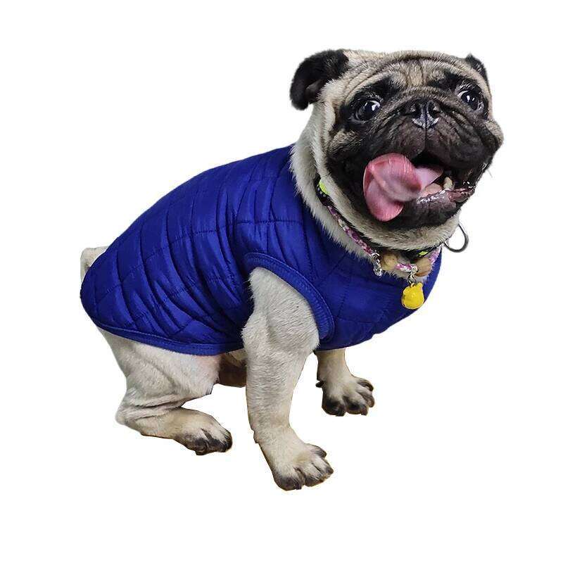 Winter Clothes Warm Puppy Cotton Jacket French Bulldog Chihuahua Poodle Clothing Pet Costume for Small Medium Dog Cats Coat XJ251225