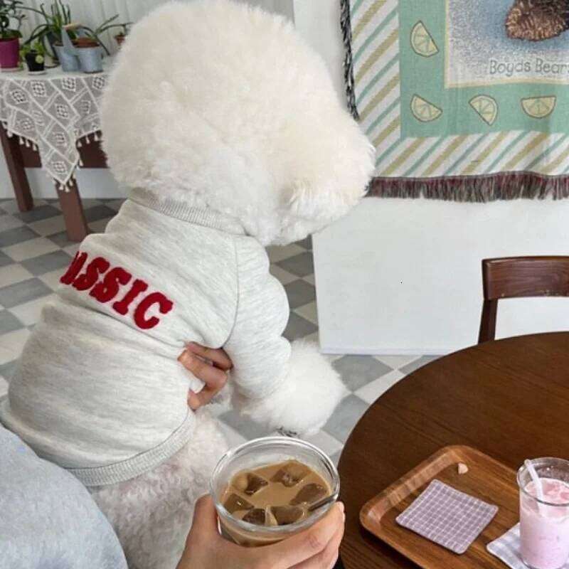 Luxury Letter Print Pullovers Winter Warm Puppy Cute Cat Hoodies Pet Sweatshirt Bichon Frise Dog Clothes XJ251225