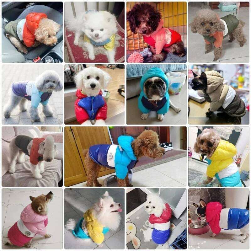 Winter Padded Down Warm Soft Dog Fashion Puppy Jacket Cute Solid Cat Coat Pet Outfits French Bulldog Clothes XJ251225