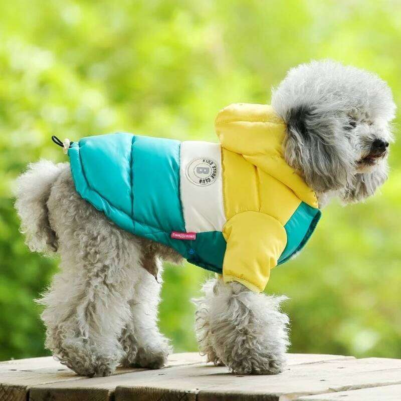 Winter Warm Clothes Luxury Dog Coat Waterproof Puppy Overcoat Padded Soft Cat Down Jacket French Bulldog Pet Costumes XJ251225