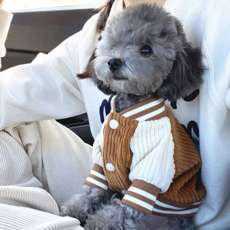 Cute Embroidered Baseball Jackets Dog For Small Medium Cat Teddy Coat Puppy Spring Clothes Warm Fashion Pet Outfit XJ251225