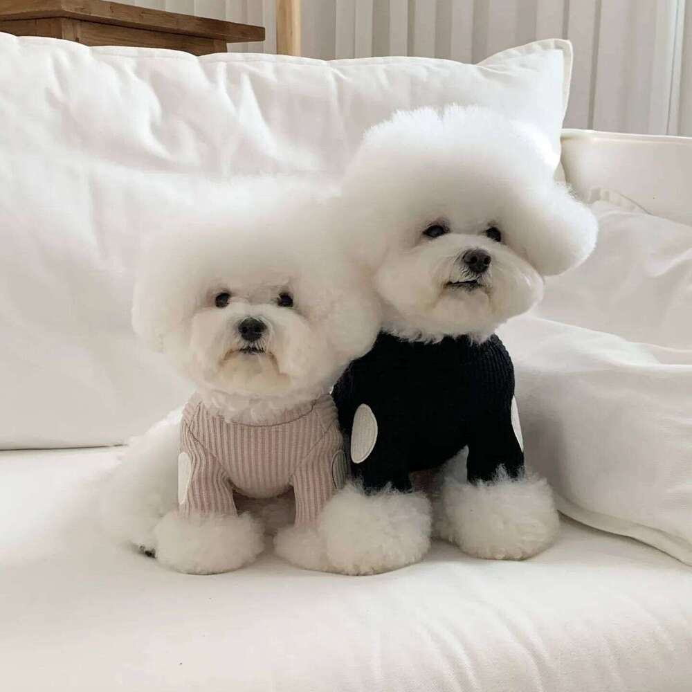 Teddy Two-Piece Knitted Base Layer Pet Clothing Dog Patchwork Embroidered Vest Bichon Frise Winter Warmth Garment XJ251225