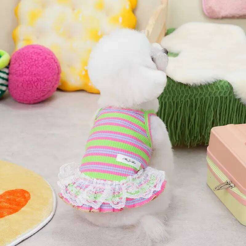 Puppy Summer Clothes Dog Fancy Dress for Small Breeds Dogs Pet Short Skirt Pomeranian One Piece Ropa Perro Costume Roupa Vestido XJ251225
