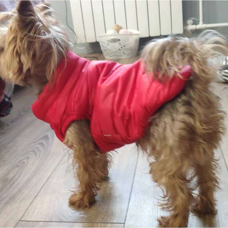 Jackets Winter French Bulldog Small Clothes York Coat Little Dog Hoodie For Chihuahua Pet Products Leash XJ251225