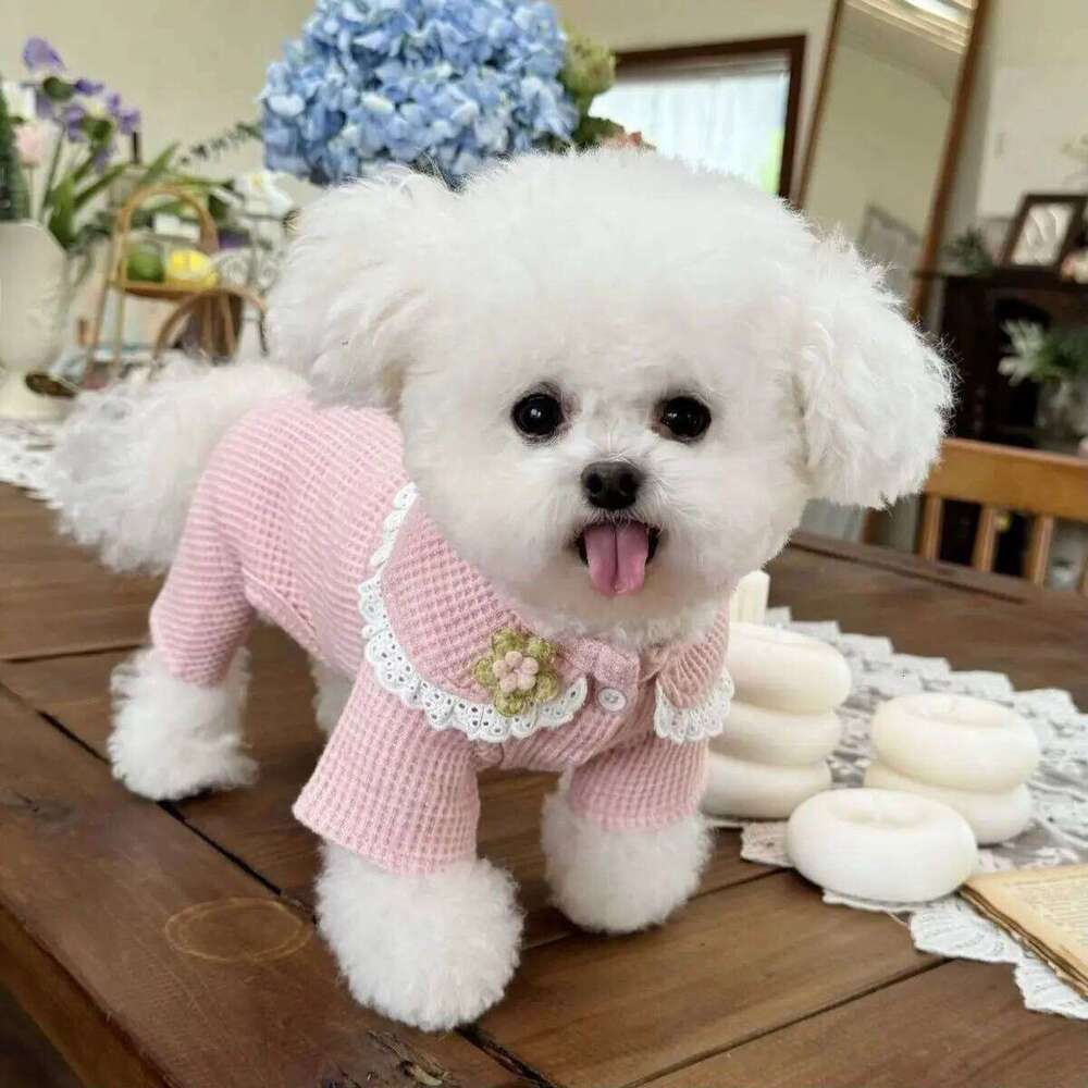 Pet Collar Jumpsuit Spring Autumn Base Shirt Waffle Top Pullover Four Legged Pants Warm Dog and Cat Puppy Clothes XJ251225