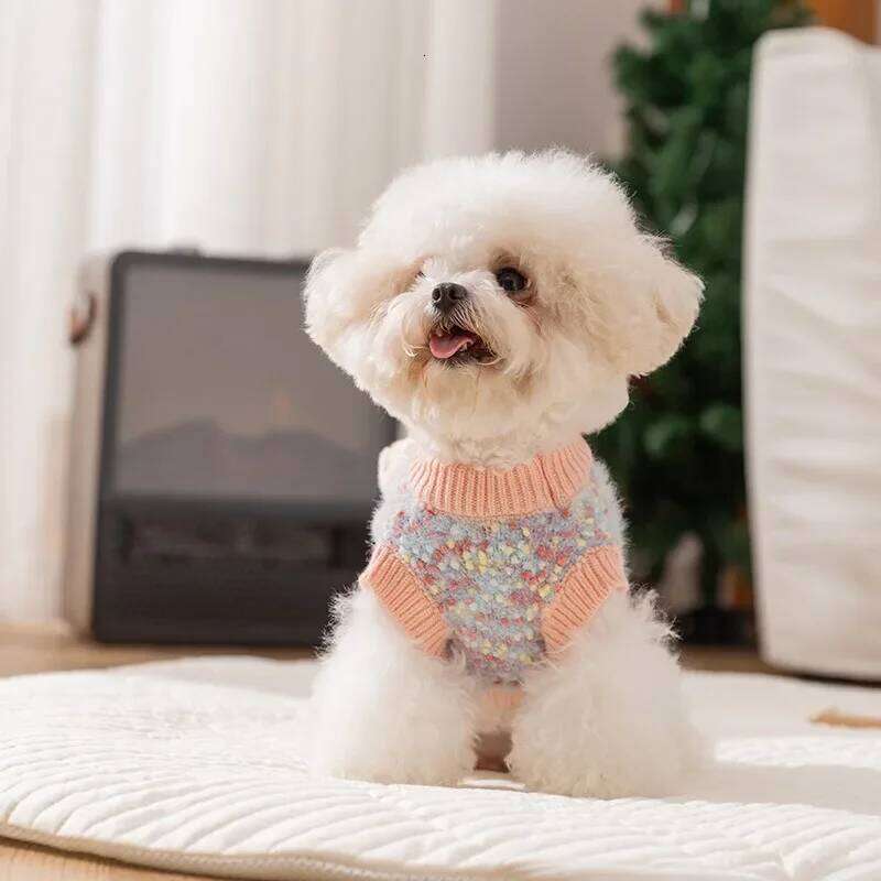 Winter 1/pic Teddy Couple Outfit Clothes Maltese Warm Bear Pullover Pet Dress Small Dog Fashion Knit Sweater XJ251225