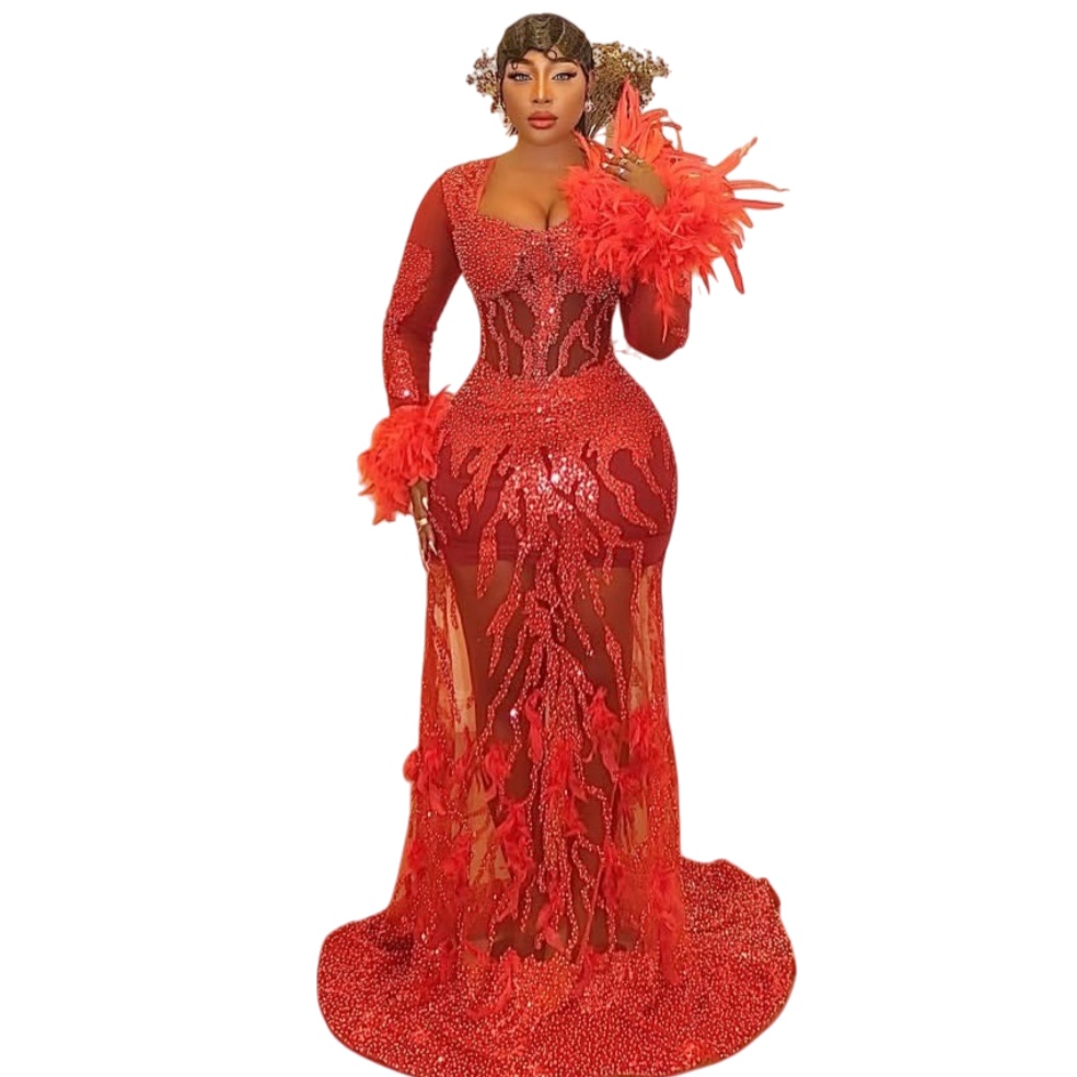 2026 Aso Ebi Red Sheath Prom Dresses Feather Sequined Full Sleeves Evening Formal Party Second Birthday Engagement Reception Gowns Dress For Special O