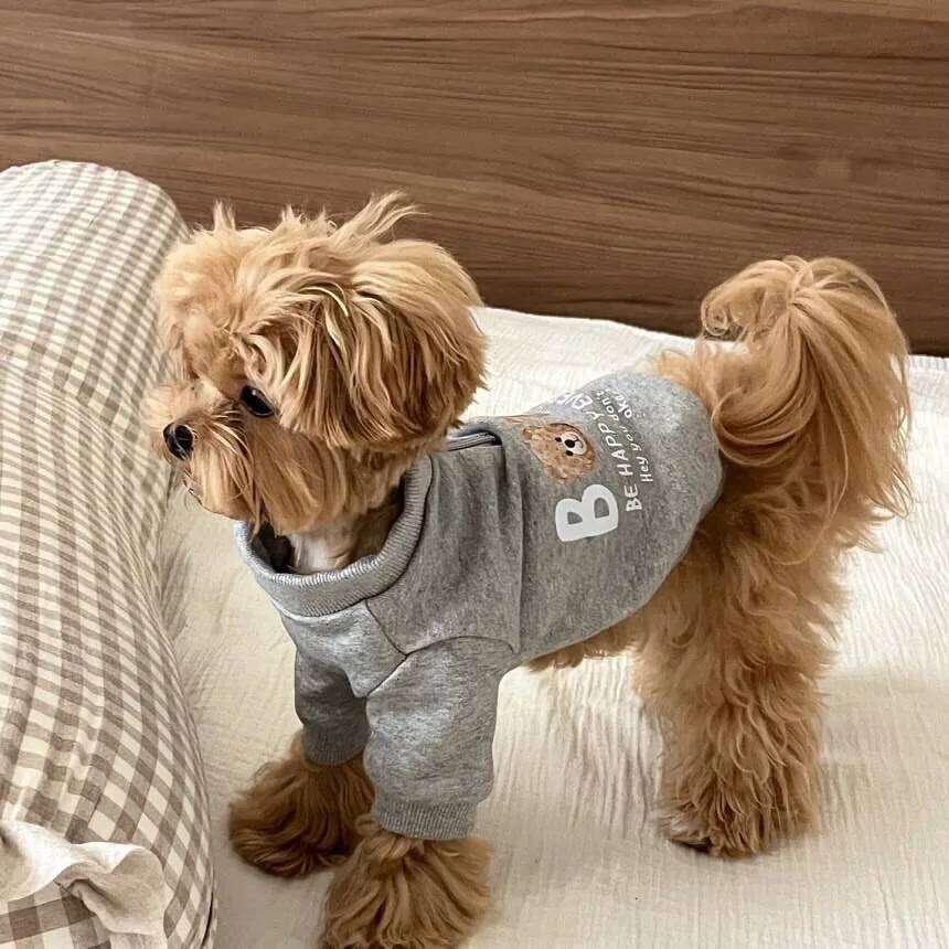 Small Dog Fleece-Lined Hoodie with Letter Print Teddy Bear Warm Pullover Pet Clothing Adorable Winter Attire XJ251225