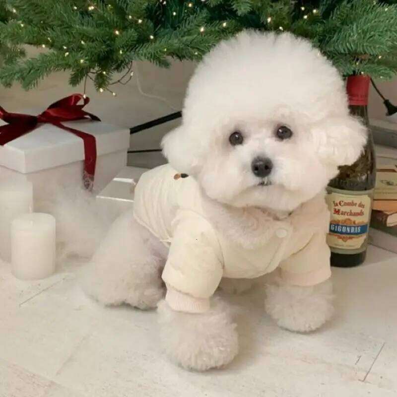 Fashion Down Winter Padded Dog Clothes Fleece Collar Puppy Jacket Bear Print Cat Coat Chihuahua Pet Apparel XJ251225