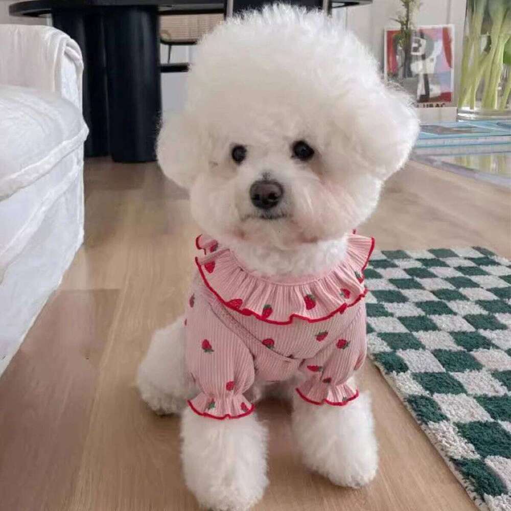 Strawberry Summer Breathable Cat Cute Clothing for Small Dog Vest Ruffled Collar Pet Clothes XJ251225