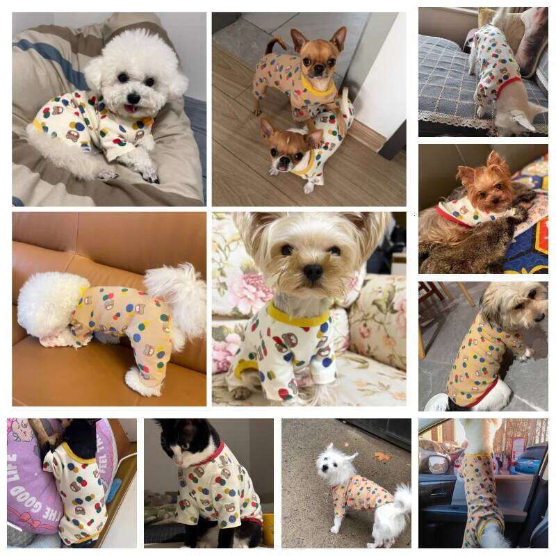 Spring Autumn Thin Clothes for Dogs Pajamas Cute Dot Bear Print Jumpsuit Puppy Coat Chihuahua Bichon Girl Dog Shirts XJ251225