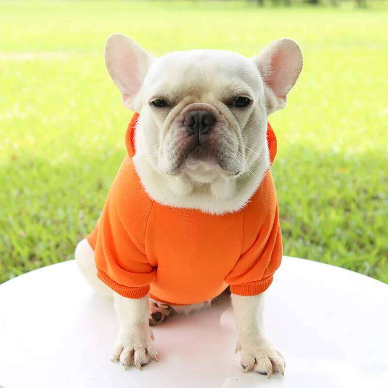 Winter Dog Hoodie Sweatshirts with Pockets Warm Clothes for Small Dogs Chihuahua Coat Puppy Cat Custume French Bulldog XJ251225