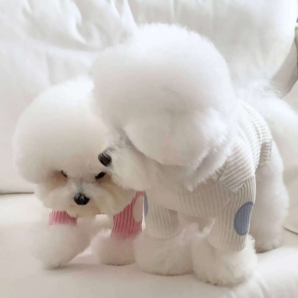 Bichon Frise Knitted Vest Autumn Pet Warmth Clothes Teddy Patchwork Embroidered Faux Two-Piece Bottoming Shirt XJ251225