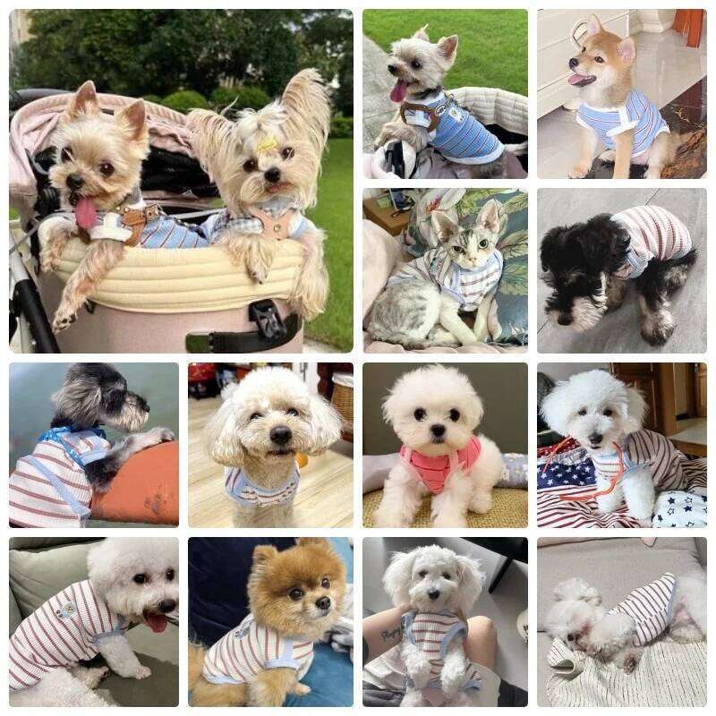 Cute Striped Clothes Comfortable Breathable Puppy Shirt Summer Cat Vest Pet Pullover Bulldog Dog T-Shirt XJ251225