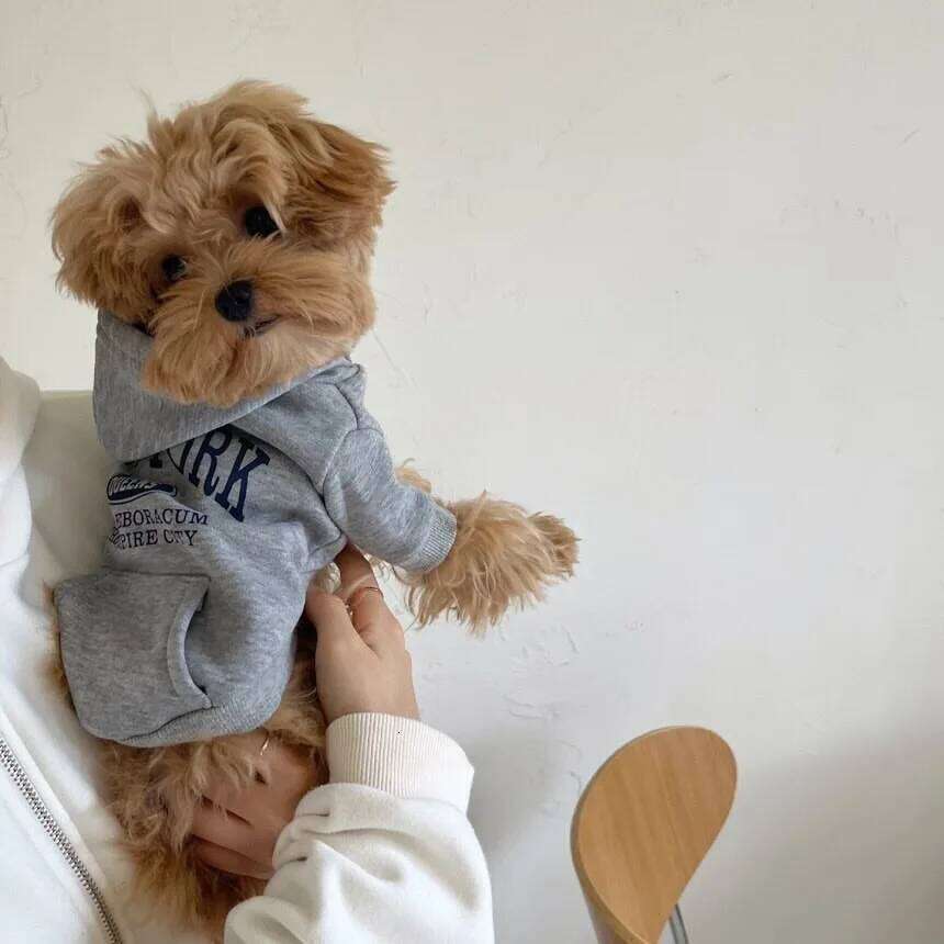 2025 Small and Medium-sized Warm Clothing Teddy Winter Sweatshirt Bichon Fleece Hoodie Sports Dog Clothes XJ251225
