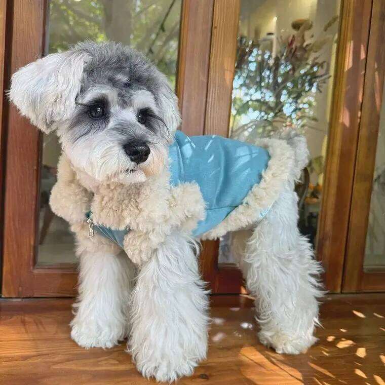 Collar Autumn/Winter Lamb Coat with Thickened Fleece Small Dog Teddy Bear Pet Warmth Puppy Clothes XJ251225