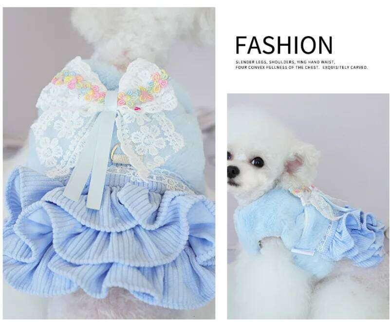2025 New Clothes Autumn Winter Thick Princess Puppy Dress Coat Fluffy Bow Pompous Clothing for Small Dog Pet XJ251225