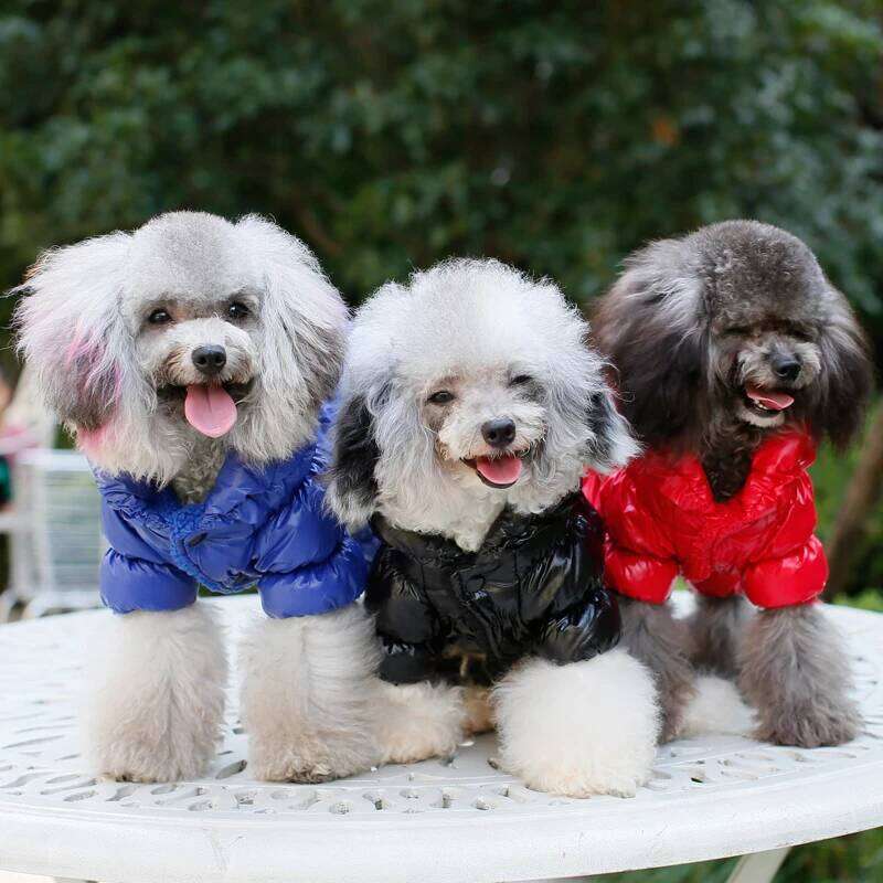 Winter Down Jacket Jumpsuit Dogs Warm Small Medium Dog Clothes for French Bulldog Overall Puppy Cat Clothing ubranka dla psa XJ251225