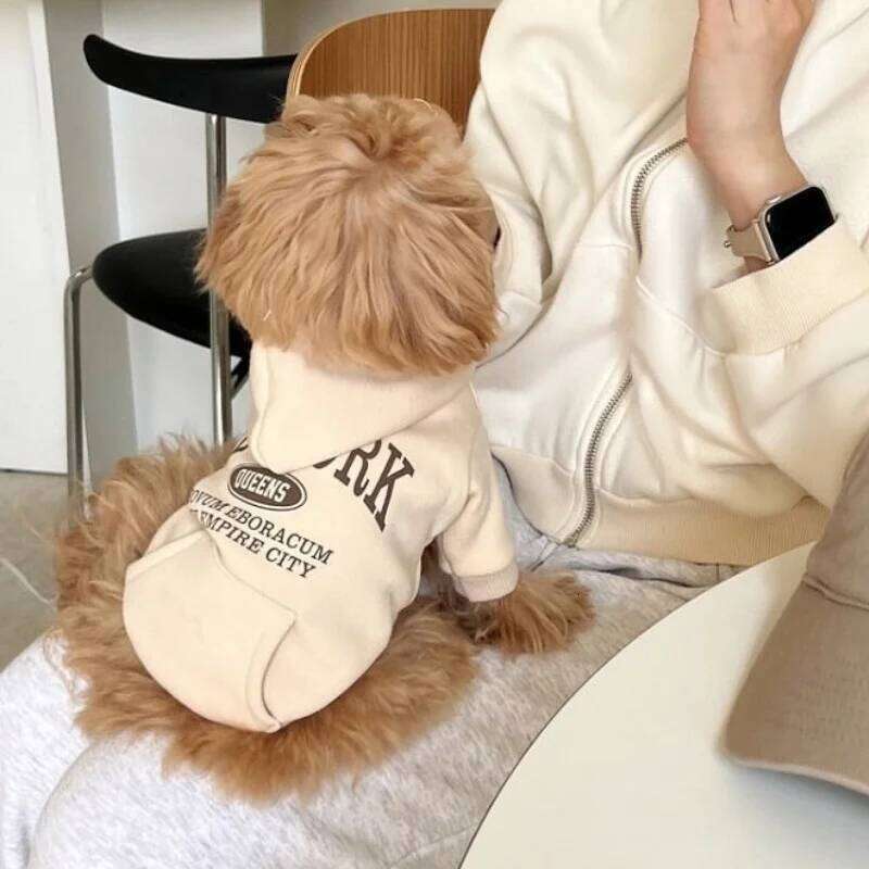 Autumn Warm Soft Plush Dog Clothes Letter Print Puppy Sweatshirts Fashion Cat Pullovers Pet Hoodies Poodle Outfits XJ251225