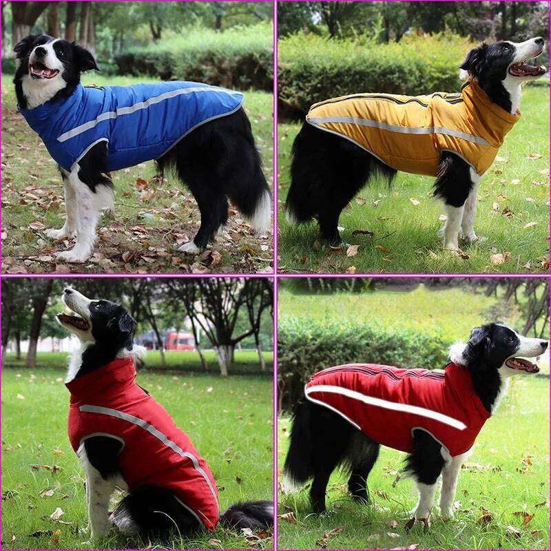 CDDMPET Winter Pet Jacket Warm Fleece Lining Clothes For Large Dogs Big Dog Coat Waterproof French Bulldog Pug Costume Labrador XJ251225