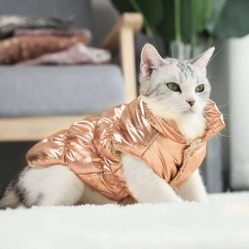 Winter Clothing Vest Dog for Small Large Dogs Coat Down Jacket Waterproof Keep Warm Pet Clothes XJ251225