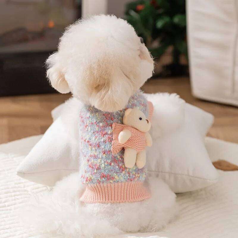 Winter 1/pic Teddy Couple Outfit Clothes Maltese Warm Bear Pullover Pet Dress Small Dog Fashion Knit Sweater XJ251225