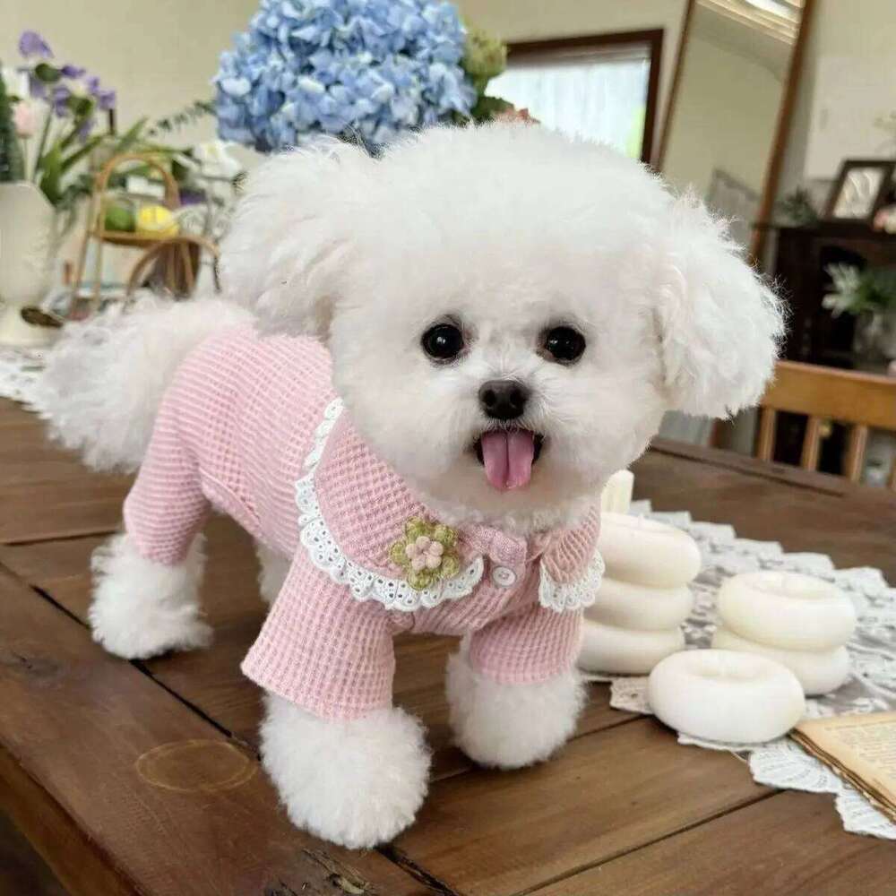 Pet Collar Jumpsuit Spring Autumn Base Shirt Waffle Top Pullover Four Legged Pants Warm Dog and Cat Puppy Clothes XJ251225