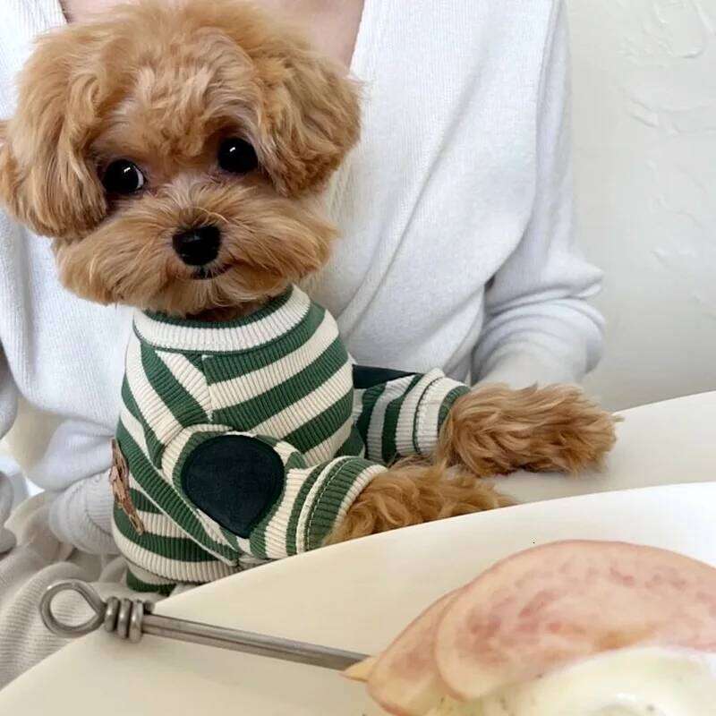 Pet Spring and Autumn Stripe Bottom Shirt Dog Thin Teddy T-shirt Yorkshire Cat Top Puppy Clothes for Small Dogs XJ251225