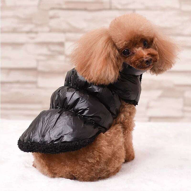 Winter Clothing Vest Dog for Small Large Dogs Coat Down Jacket Waterproof Keep Warm Pet Clothes XJ251225