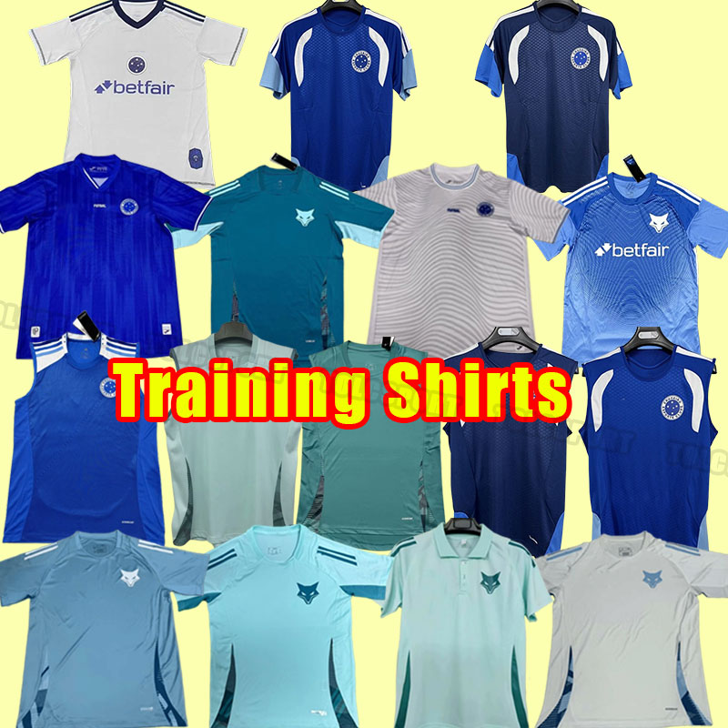 2025 2026 camisa Cruzeiro soccer jerseys 100th anniversary football shirts 25/26 POTTKER DEDE R.SOBIS Camiseta de Raposas men football shirt training polo vest gk
