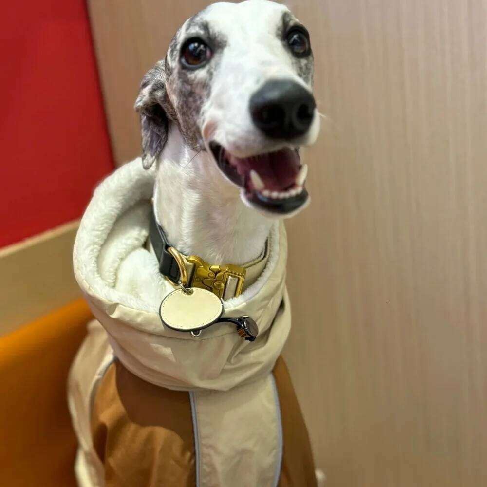 Dog Clothes in Winter Snow Weather Thicken Plush 4-legged Khaki Jacket Windproof Waterproof Warm Coat for Italy Greyhound Huibit XJ251225