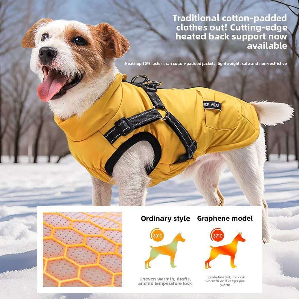 Waterproof Dog Coat for Small Breeds - Windproof Reflective Thermal Jacket with Breathable Lining & Leash Hole Outdoor Safety XJ251225