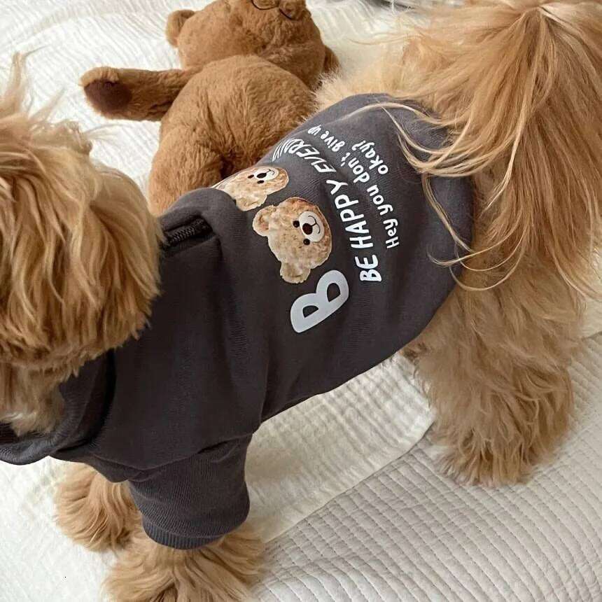 Small Dog Fleece-Lined Hoodie with Letter Print Teddy Bear Warm Pullover Pet Clothing Adorable Winter Attire XJ251225