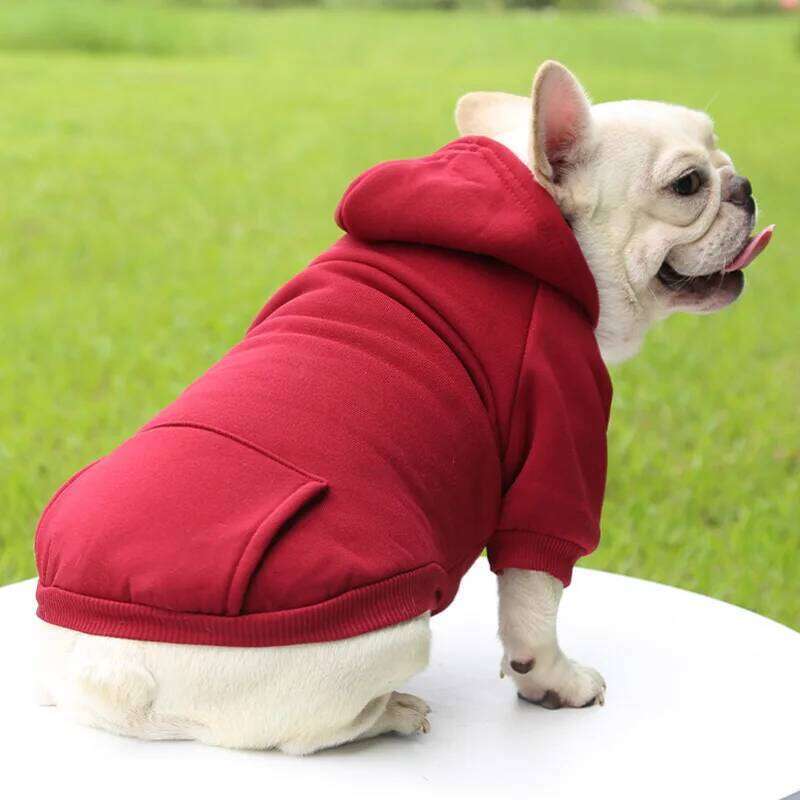 Winter Dog Hoodie Sweatshirts with Pockets Warm Clothes for Small Dogs Chihuahua Coat Puppy Cat Custume French Bulldog XJ251225