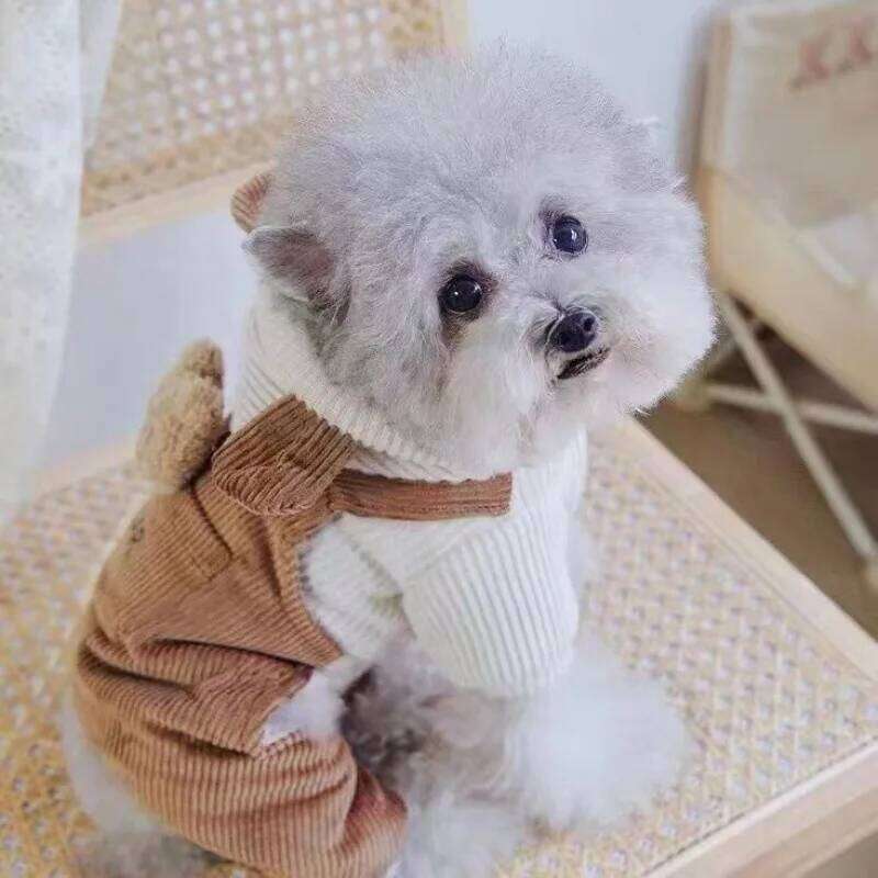 Pet Jumpsuit Small Dog Autumn and Winter Corduroy Teddy Bear Strap Jacket Puppy Clothes Velvet Pants XJ251225