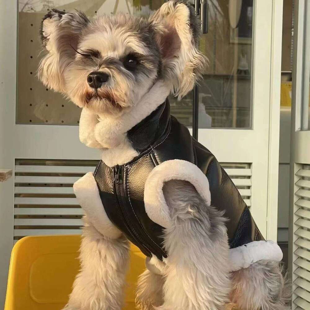 Pet Autumn Winter Velvet Sleeveless Fur One-piece Coat Teddy Schnauzer Bichon Dog Thick Vest Puppy Clothes for Small Dogs XJ251225