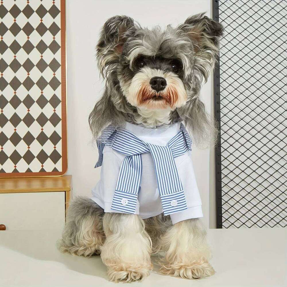 Summer Clothes Casual Versatile Dog T-shirt Suitable for Small Medium Dogs Chihuahua French Bulldog Pet Shirt XJ251225