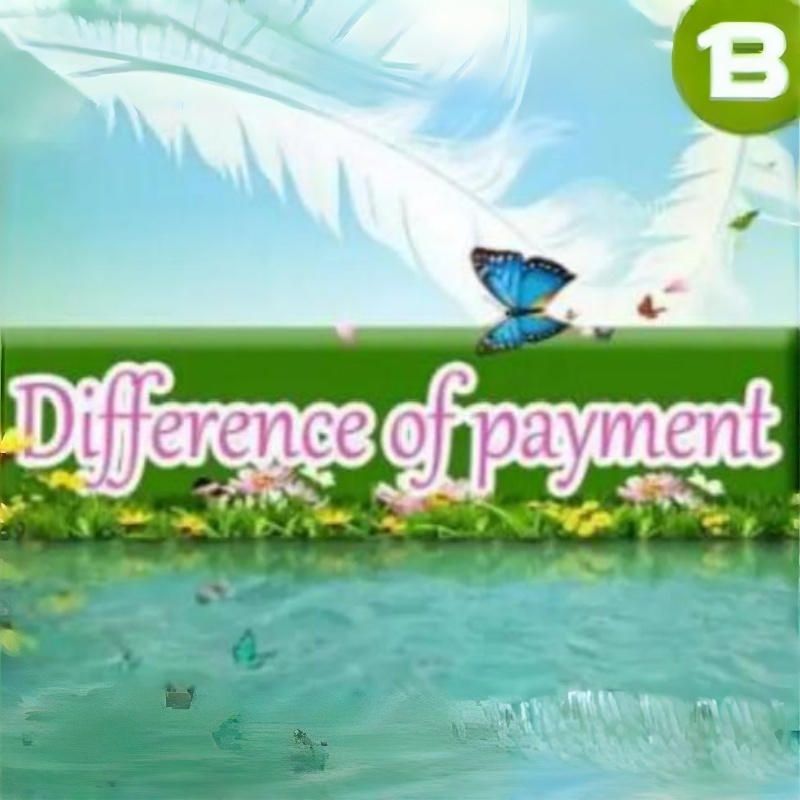 Apparel Others This Is The Difference Of Payment There No Physical Object