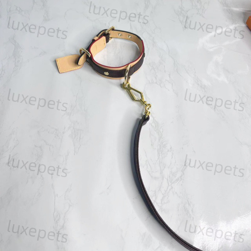 Fashion Brand Leather Dogs Collar Classic Old Flower Dog Collars Designer Adjustable Puppy Belt Leash Pet Outdoor Running Training Necklace Rope Tie S
