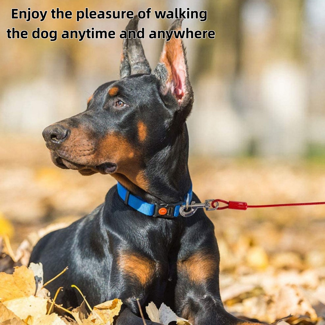 Red Durable Dog Leash - Heavy Duty Cable Dog Lead with Double Metal Clips, Strong Pet Walking Leash for Medium/Large Dogs