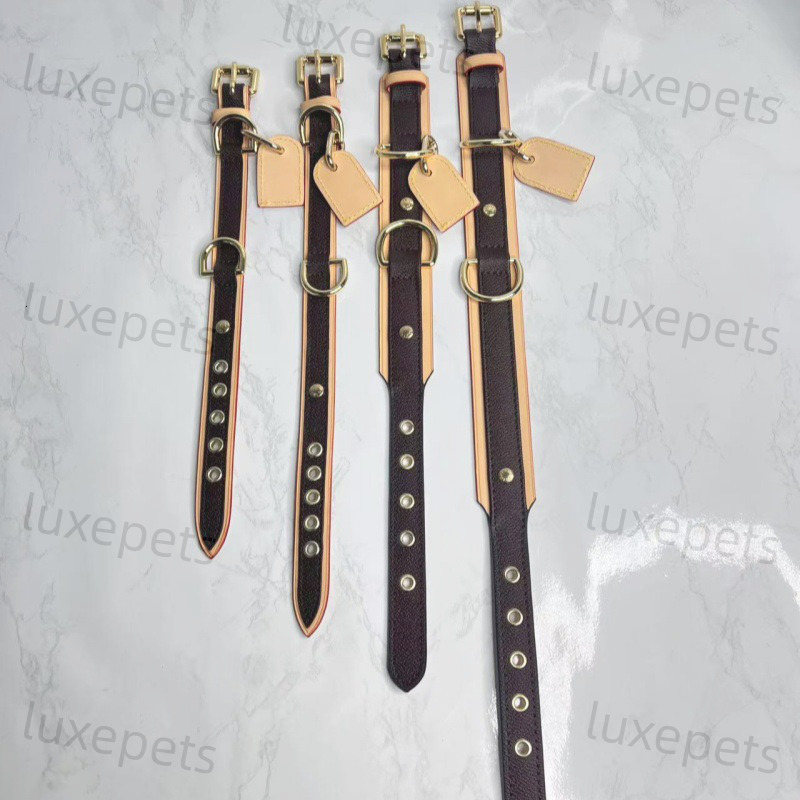Fashion Brand Leather Dogs Collar Classic Old Flower Dog Collars Designer Adjustable Puppy Belt Leash Pet Outdoor Running Training Necklace Rope Tie S
