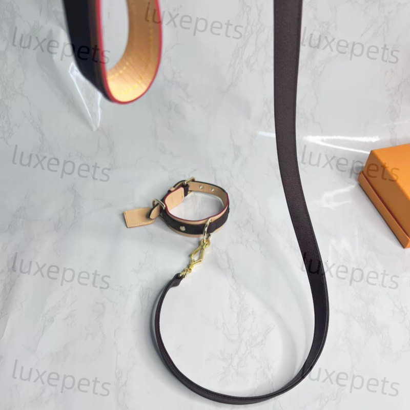 Fashion Brand Leather Dogs Collar Classic Old Flower Dog Collars Designer Adjustable Puppy Belt Leash Pet Outdoor Running Training Necklace Rope Tie S