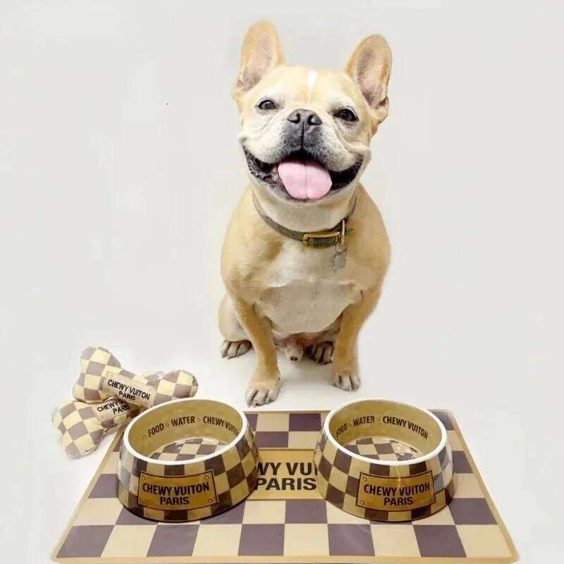 Bowls With Placemat Puppy Cat Feeder Non-slip Crash Luxury Designer Dog BowlFrench Bulldog Bowl For Small Dogs 26Y0110