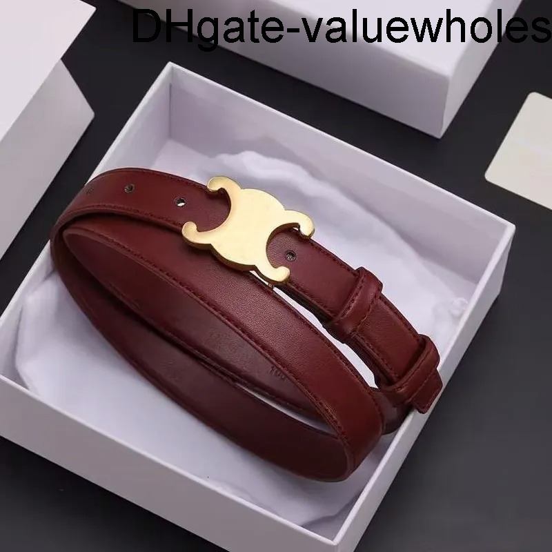 belts for women designer 30 cm width belts brand buckle simon belts fashion classic womens dress belt celinebelt celinelies celiine celinity celeineism Celins O2HD