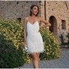 2025 Fashion Tassel Sequin Multi-color Party Sexy V-neck Strap Feather Patchwork Dress 241126